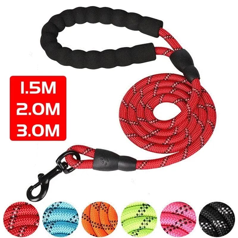 Laisse pour chien Casting avec poignée rembourrée confortable, ULde traction à double vitesse pour le bain des chiens, améliore la sécurité et le contrôle