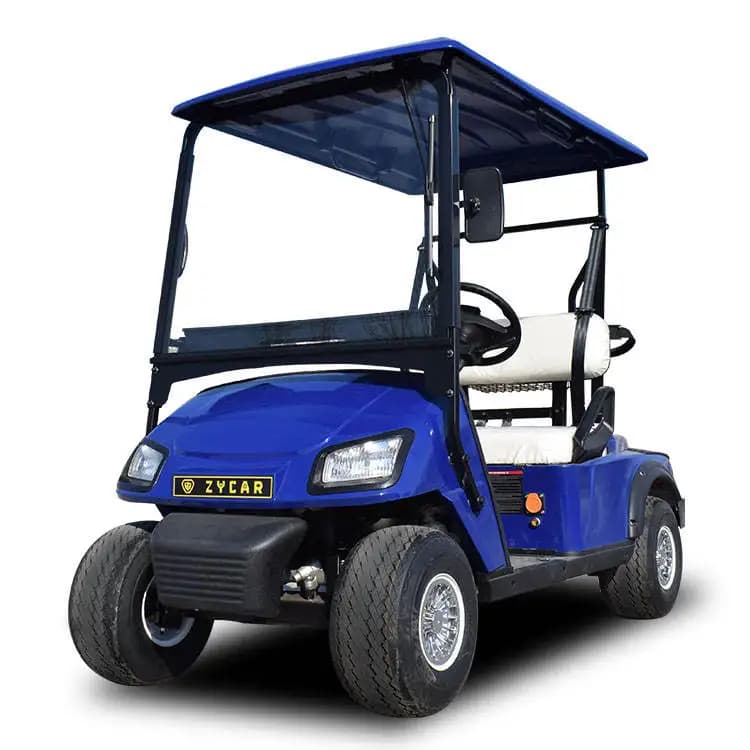 Voiturette de golf électrique à 4 roues et 2 places, véhicule utilitaire pour le transport communaut