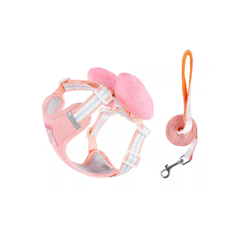 Laisse pour petit chien anti-évasion avec grande sangle de poitrine à nœud, pour promenades avec our