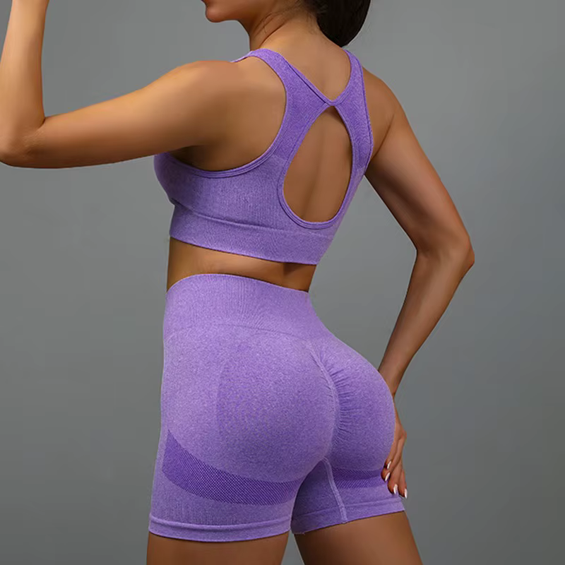2 pièces costume de Yoga sous-vêtements de sport de Yoga costume de Fitness pour femmes gilet de cou