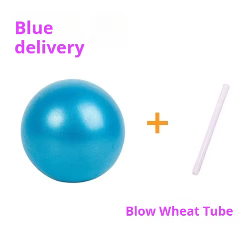 Pilates Yoga balle Mai tuyau balle PVC antidéflagrant mat 25 cm Mini balle gymnastique équilibre Fit