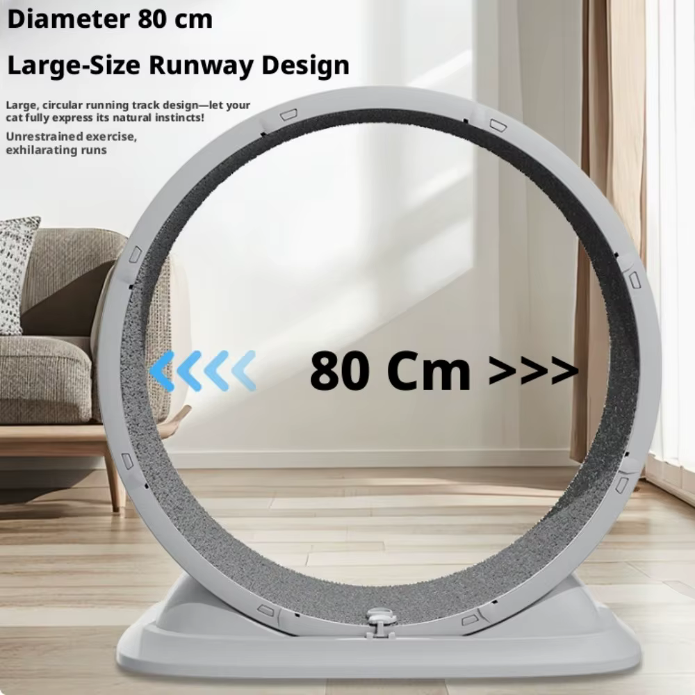Roue de course silencieuse pour chat, grande taille, accessoires pour animaux de compagnie, rouleau 