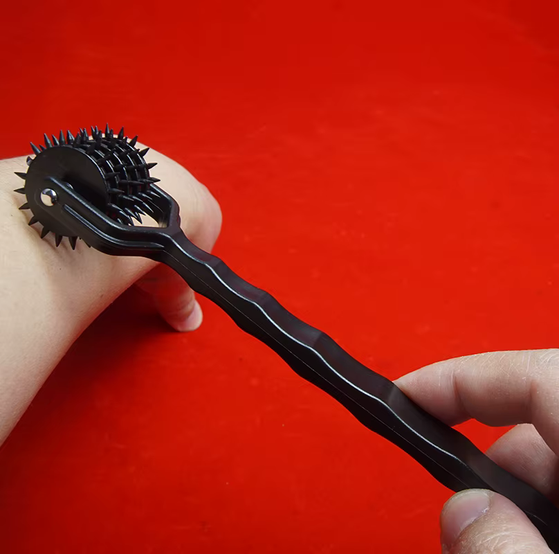 BDSM Wartenberg Pinwheel Spiky Wheel Tickler pour nerf sensoriel et jeu médical, jouets sexuels pour