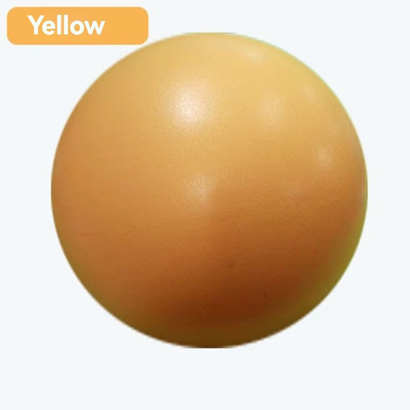 Balle de Yoga de 25cm, texturée mate, renforcée, Anti-éclatement, support arrière avec poignées, bal