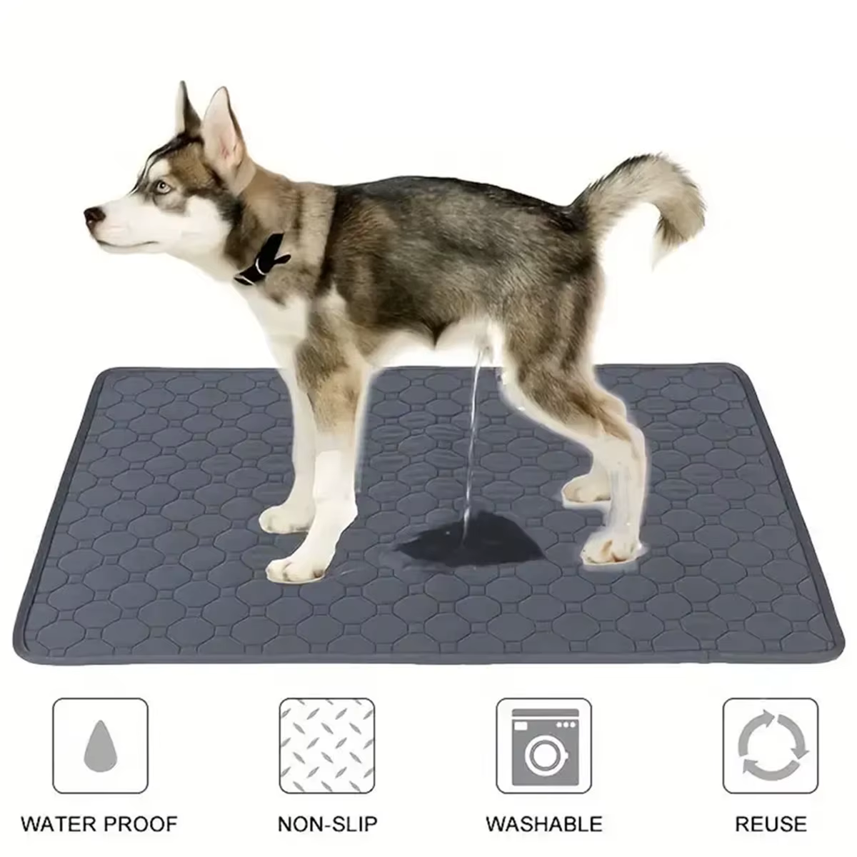 Tapis absorbant réutilisable et lavable pour chien, tapis d'urine pour chien, tapis imperméable pour
