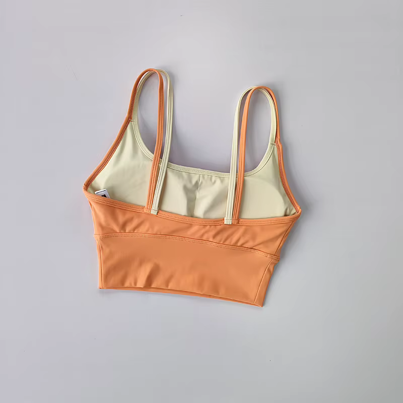 Soutien-gorge de sport pour femmes, absorbant les chocs, Double sangle de poitrine, gilet de Yoga, s