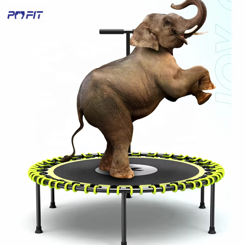 Trampoline d'entraînement de fitness de gymnastique adulte robuste de 150 kg exercice de saut trampo