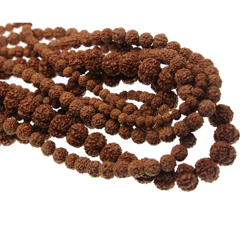 Perles Mala Rudraksha naturelles