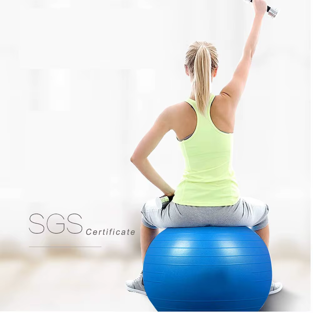 Balle de Yoga d'équilibre 55-75cm balle de Yoga de Fitness