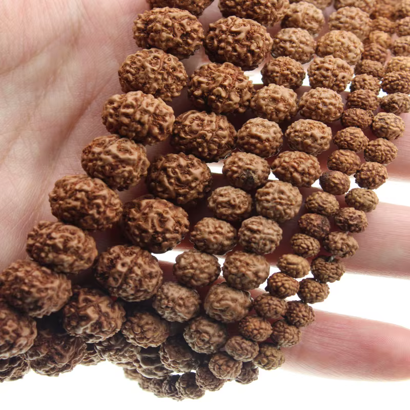 Perles Mala Rudraksha naturelles