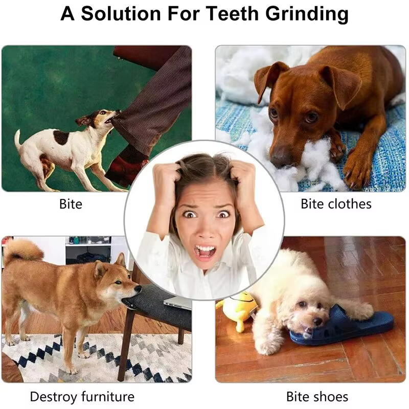 Balle de jouet pour chien, boule de jouet non toxique résistante aux morsures pour chiens de compagnie, chiot chat, mangeoire de friandises pour animaux de compagnie, boule de nettoyage des dents à mâ