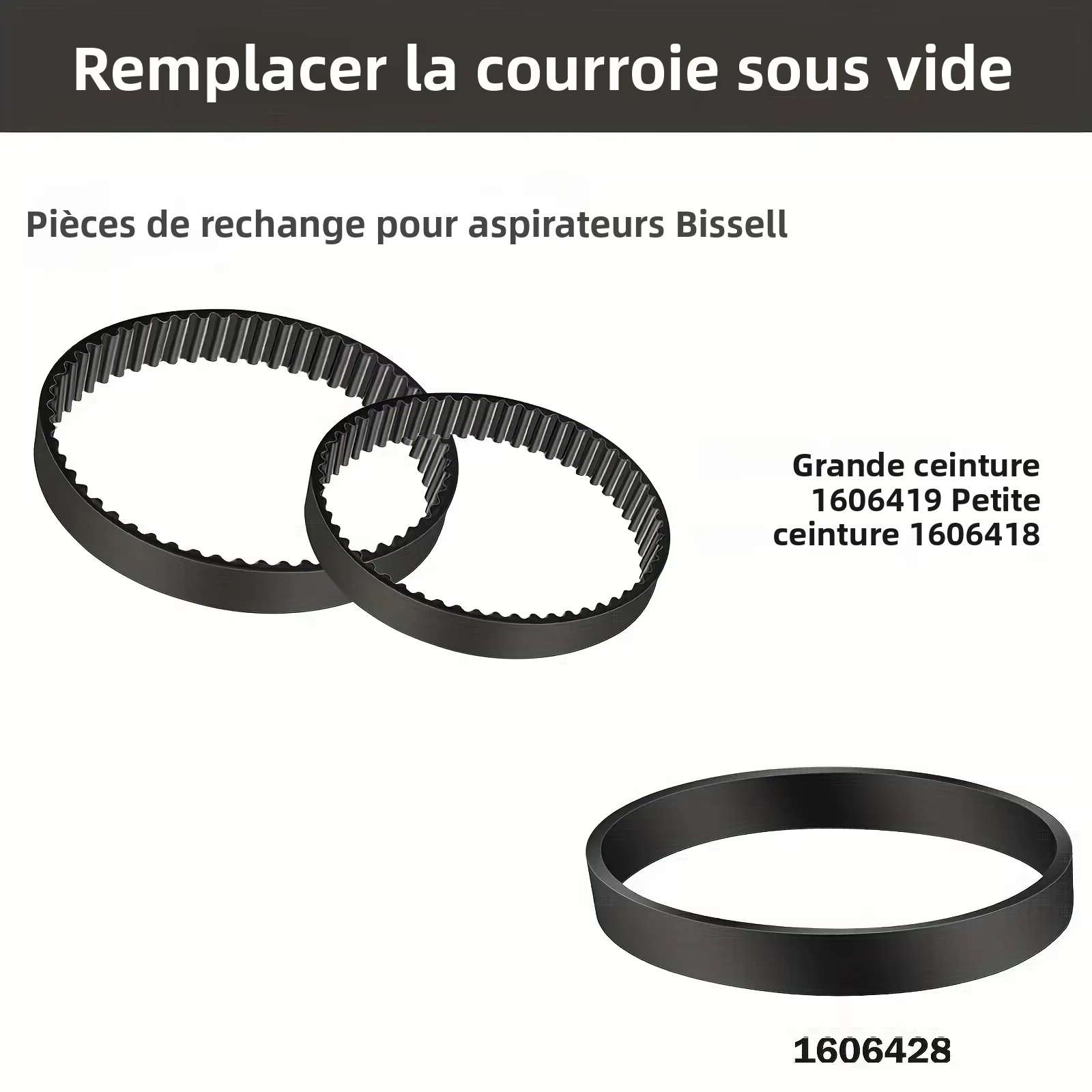 Jeu de courroies de remplacement pour nettoyeur de tapis pour animaux de compagnie Bissell ProHeat 2X Revolution, série 1548,1551,1551W,1550