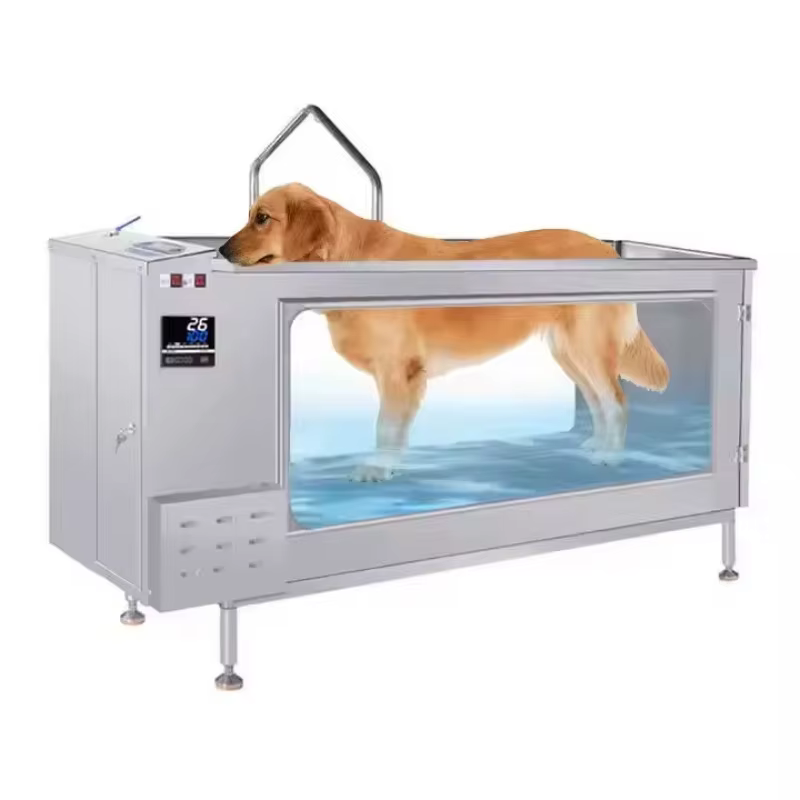 Tapis roulant aquatique pour chien, machine de course pour animaux, hydrothérapie, rééducation, entraînement pour animaux, personnalisé