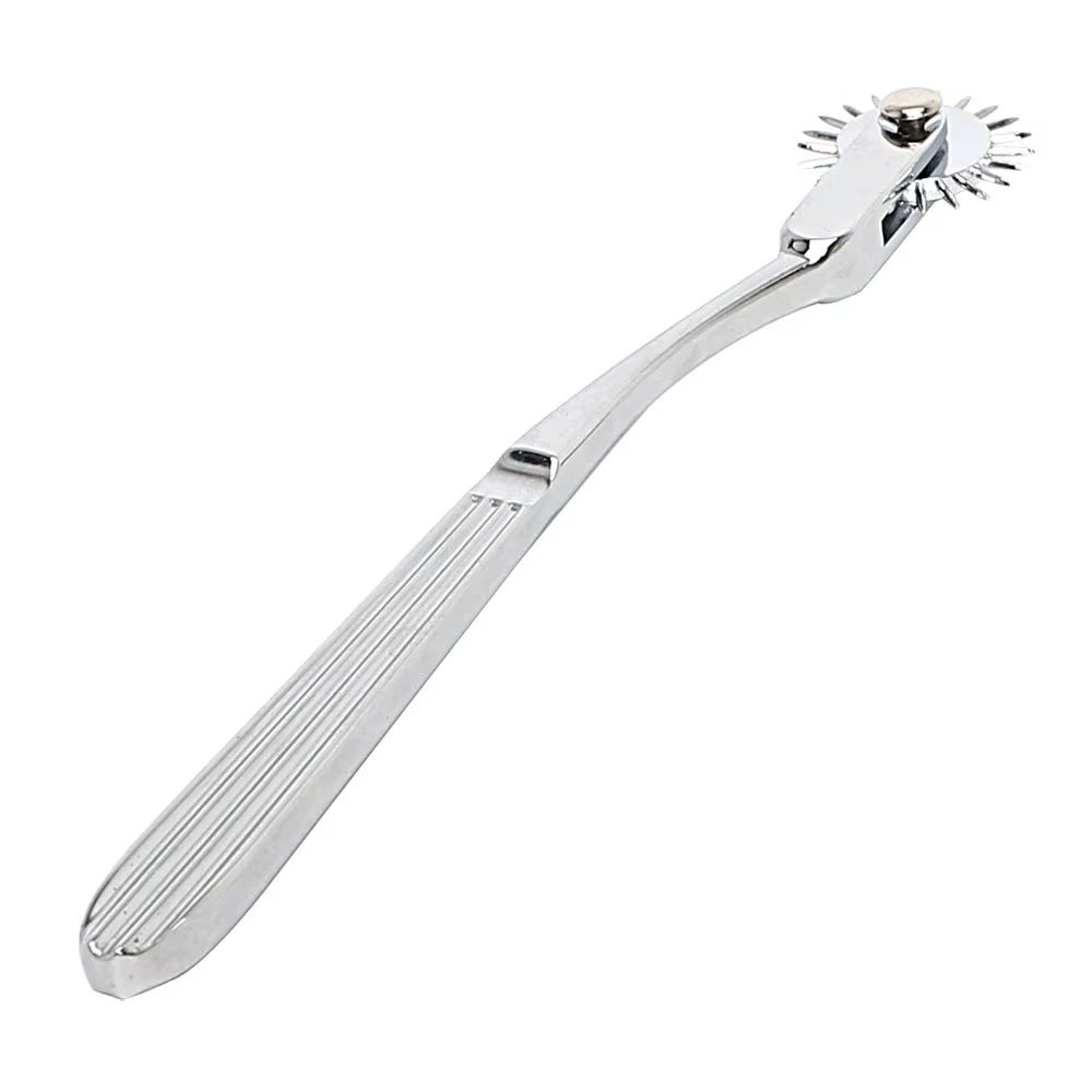 Roue en métal BDSM, jeux de Bondage pour adultes, jouets sexuels pour femmes et hommes, Couples, téton, esclave, fétiche, Clitoris, pénis, stimulateur de peau