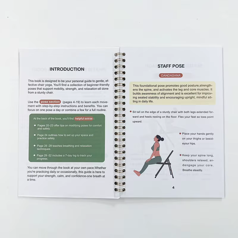 Exercices de chaise pour personnes âgées – Livre de force de 28 jours