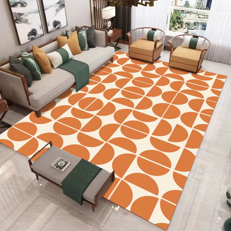 Tapis minimaliste moderne pour salon