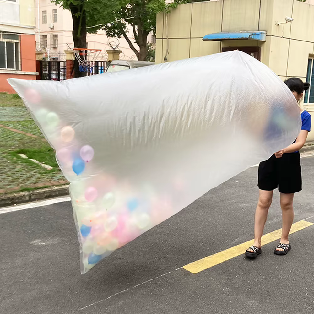 Grand sac de Transport pour ballons