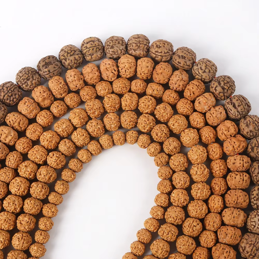 Rudraksha Mala naturel 8/9/10/11/12/14mm