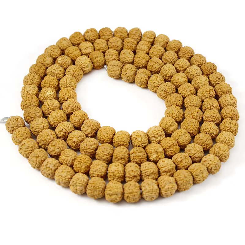 Rudraksha Mala-Perles Bouddhistes Naturelles de 6