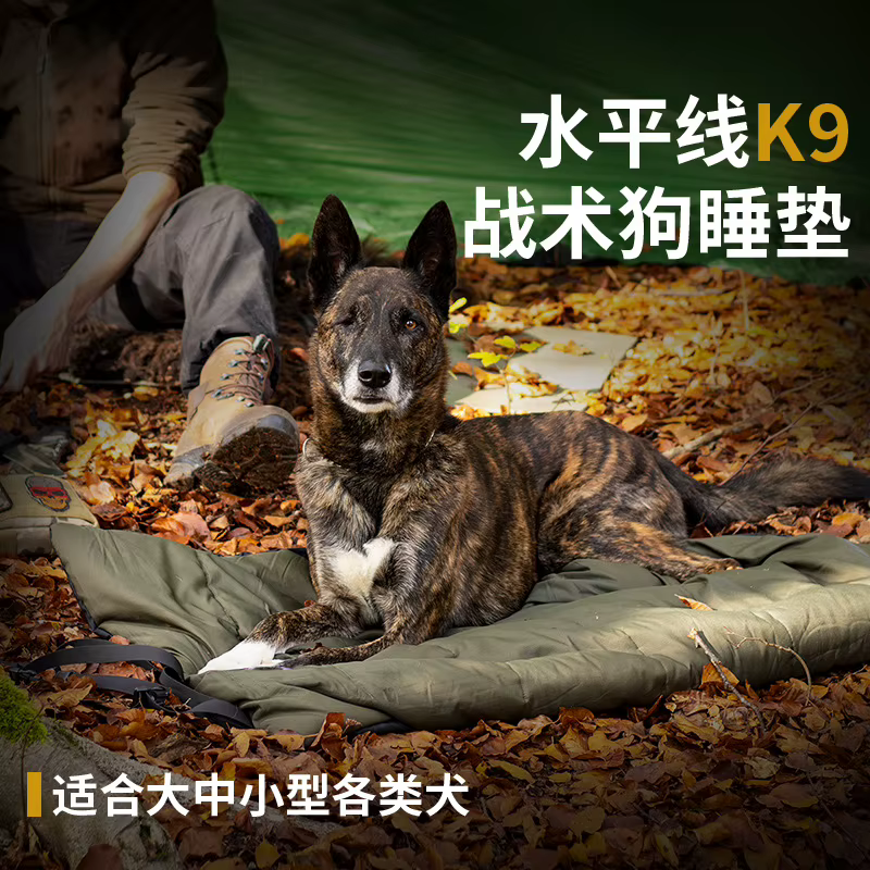 Grands tapis pour chiens, couleur unie, toutes saisons, lavables, résistants aux morsures, durables, chauds, portables, pour l'extérieur, fournitures pour animaux de compagnie