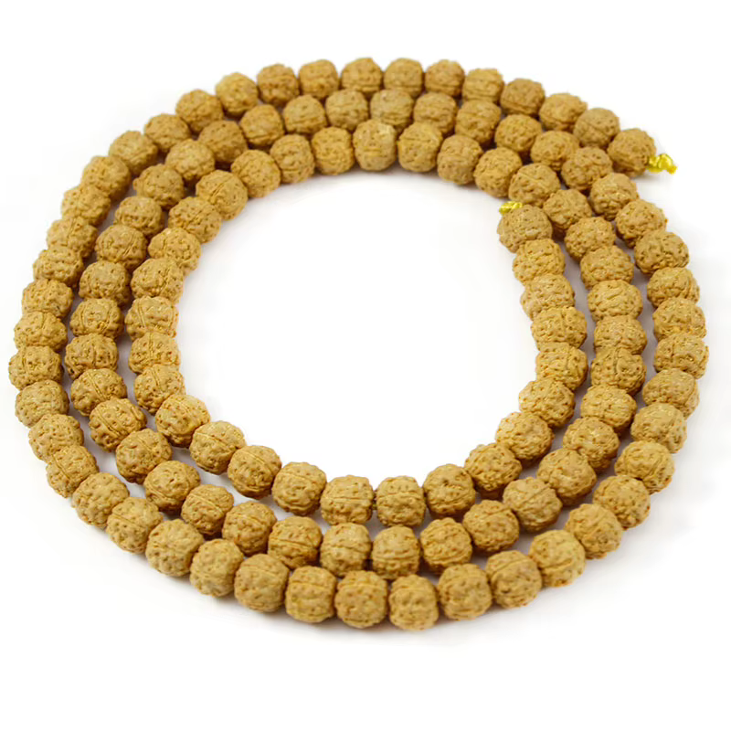 Rudraksha Mala-Perles Bouddhistes Naturelles de 6