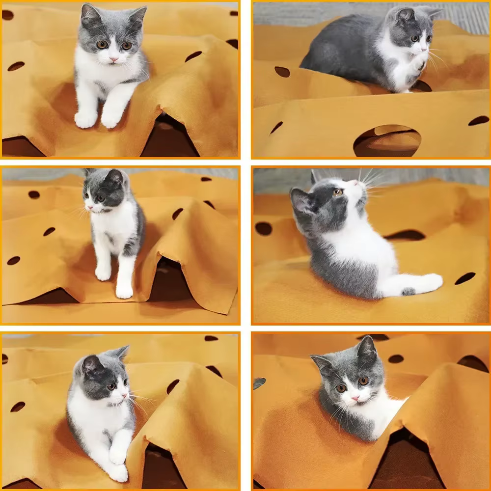 Tapis d'activités pour chat pliable, résistant aux griffures, tapis d'escalade anti-morsure, jouet d'intérieur pour animaux de compagnie et tapis de litière pratique pour chat