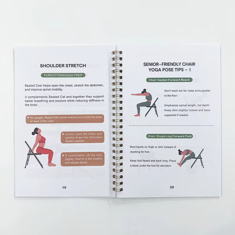 Exercices de chaise pour personnes âgées – Livre de force de 28 jours