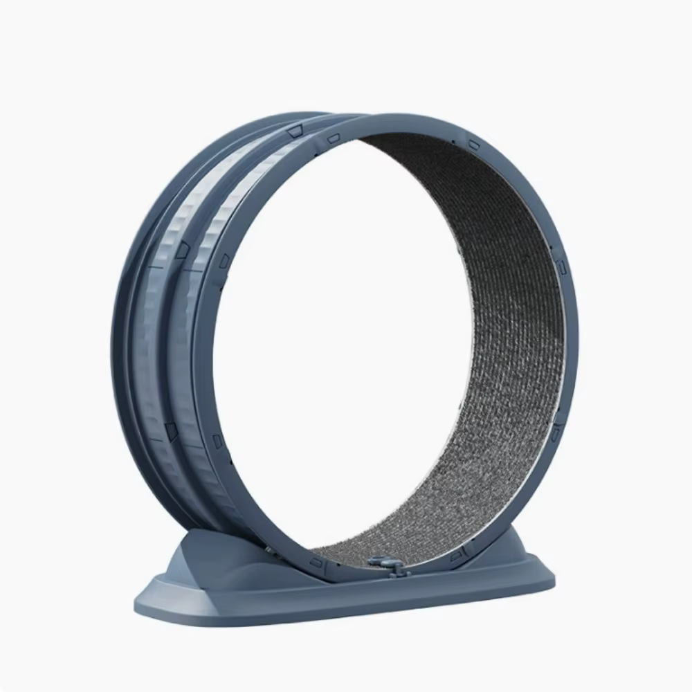 Roue de course silencieuse pour chat, grande taille, accessoires pour animaux de compagnie, rouleau d'exercice anti-pincement pour les pattes, rouleau de fitness, structure d'escalade pour chat, jouet