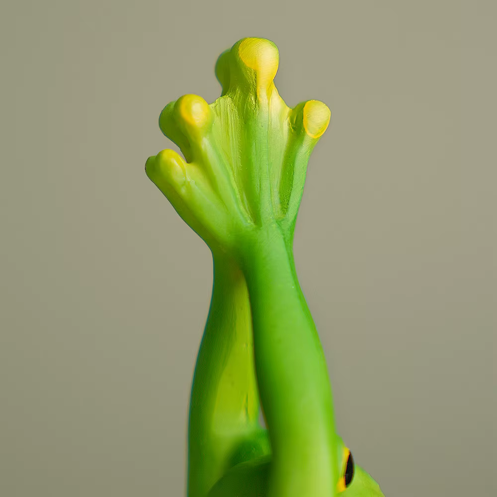 Ornements de grenouille de yoga pour la maison
