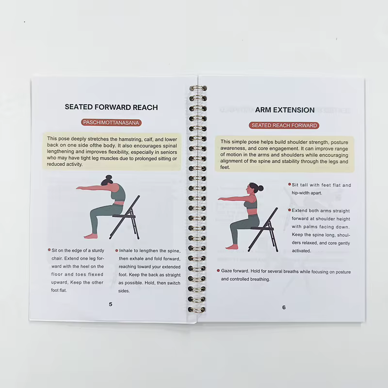 Exercices de chaise pour personnes âgées – Livre de force de 28 jours