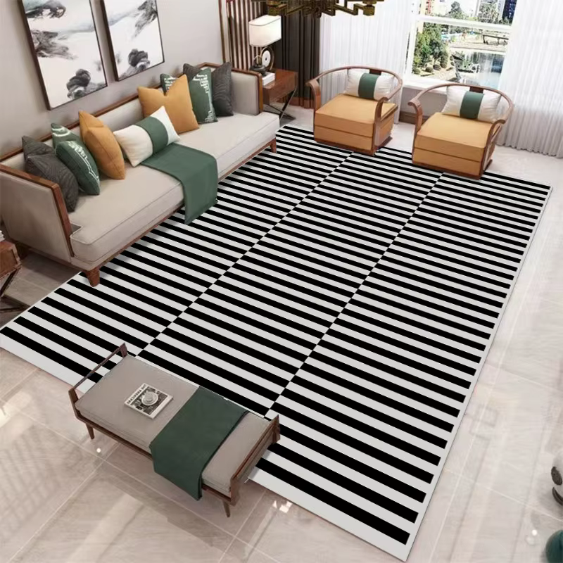 Tapis minimaliste moderne pour salon