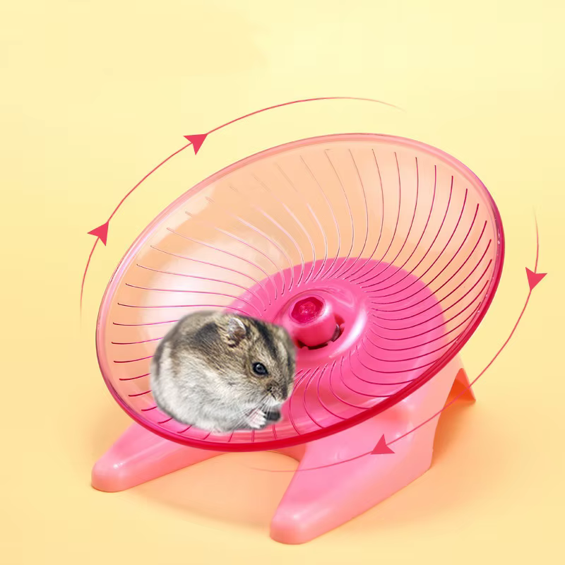 Roue motrice silencieuse pour petits animaux – Équipement d'exercice silencieux et sûr, idéal pour les Hamsters, les souris, les perroquets et autres petits animaux