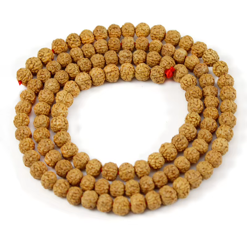 Rudraksha Mala-Perles Bouddhistes Naturelles de 6