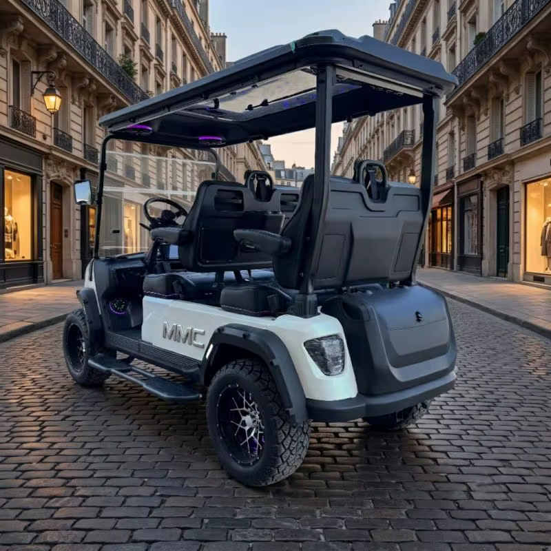 Voiturette de golf électrique tout-terrain sur mesure à 4 roues motrices avec éclairage LED d'ambiance