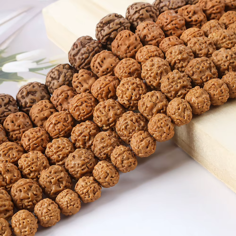 Rudraksha Mala naturel 8/9/10/11/12/14mm