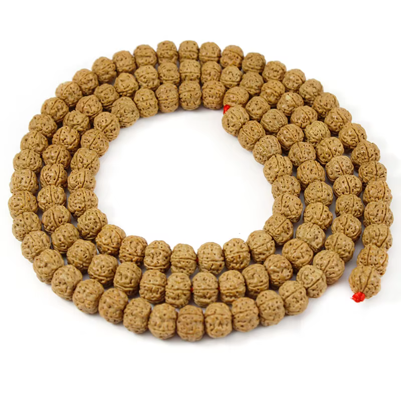 Rudraksha Mala-Perles Bouddhistes Naturelles de 6