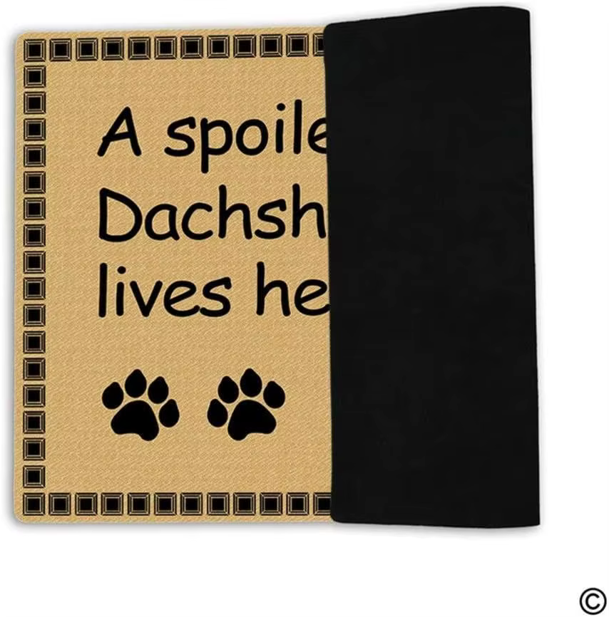 Paillasson d'entrée en caoutchouc antidérapant, tapis décoratif de Style Ins, pour porte de chien, un teckel mortux, vit ici