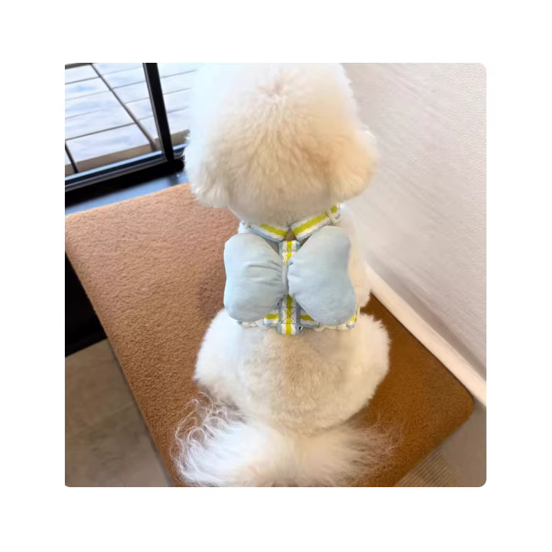 Laisse pour petit chien anti-évasion avec grande sangle de poitrine à nœud, pour promenades avec ours en peluche, laisse pour animaux de compagnie