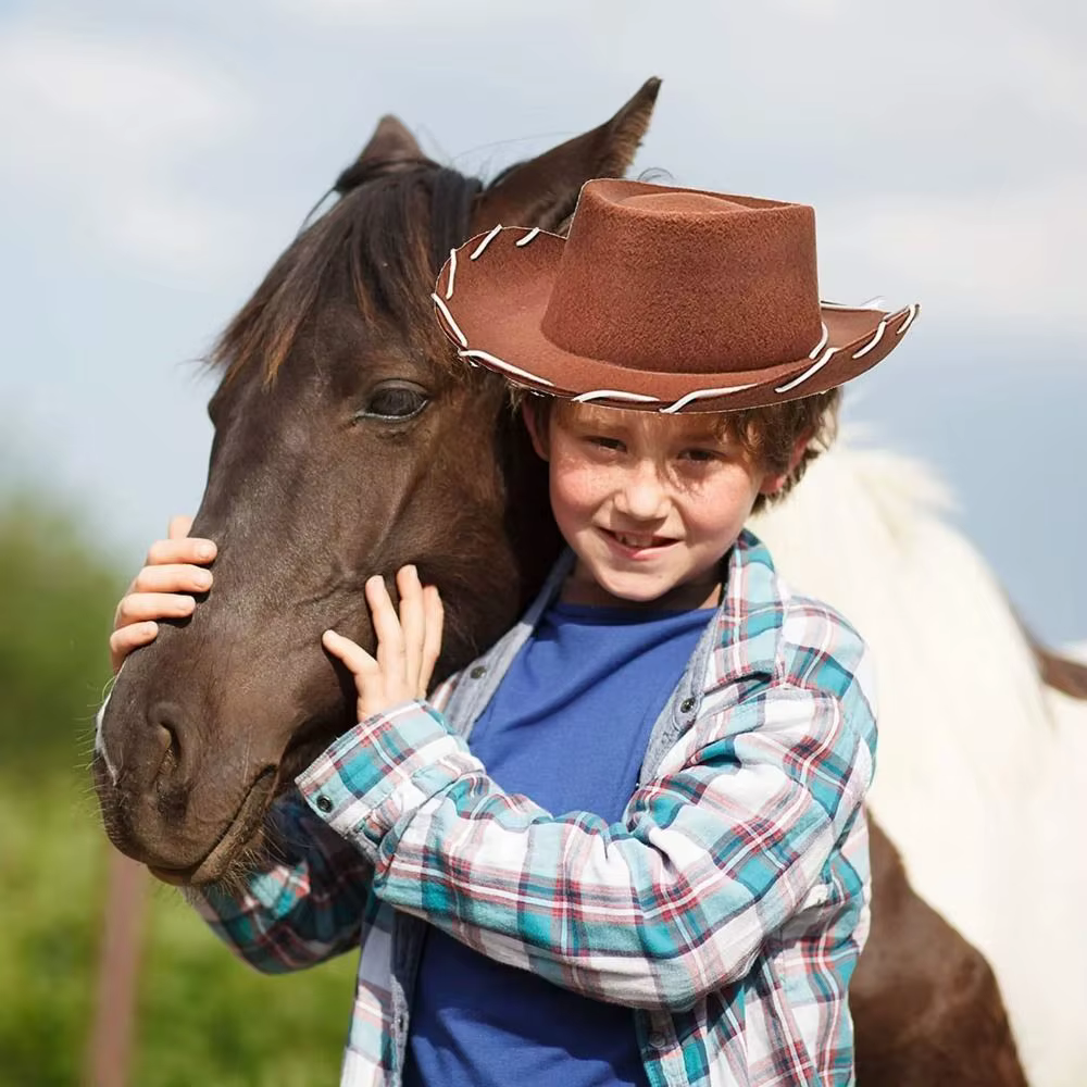 Chapeau de cowgirl en feutre réglable pour femme, accessoire de mode, idéal pour cosplay, performance, déguisement ou comme chapeau de princesse.