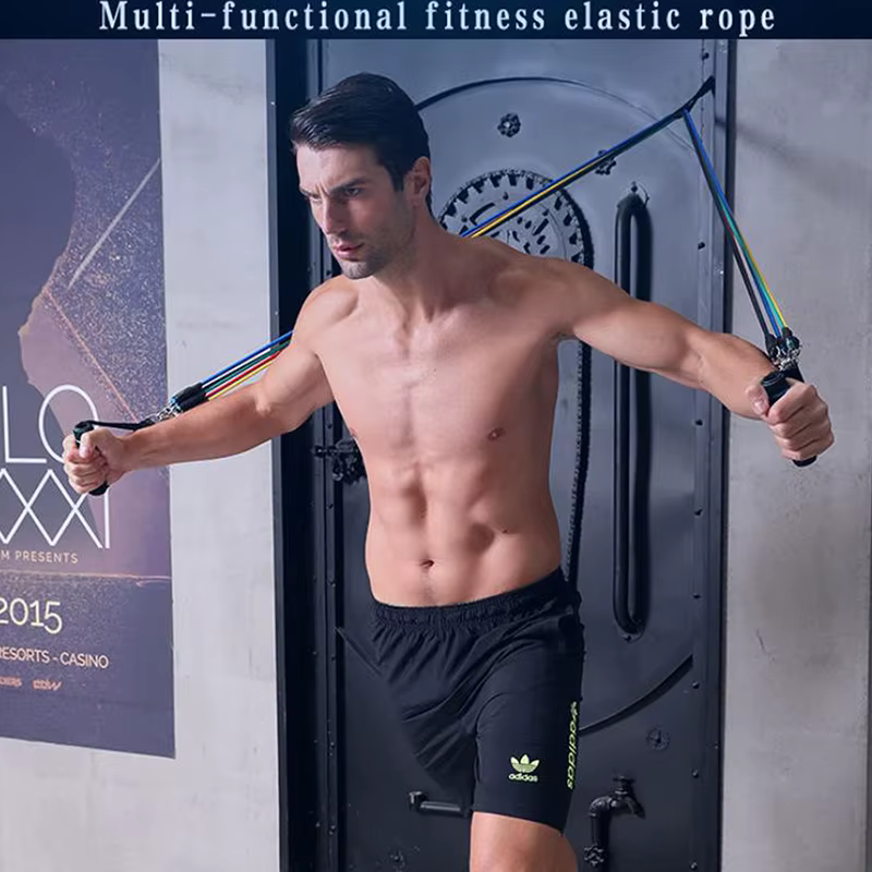 Nouvel ensemble de 11 sangles musculaires